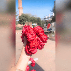 Fresh Flower Gajray Red Rose Pair