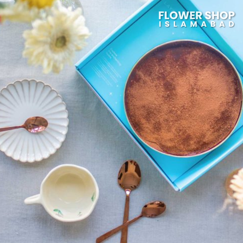 All Chocolate Dreamcake